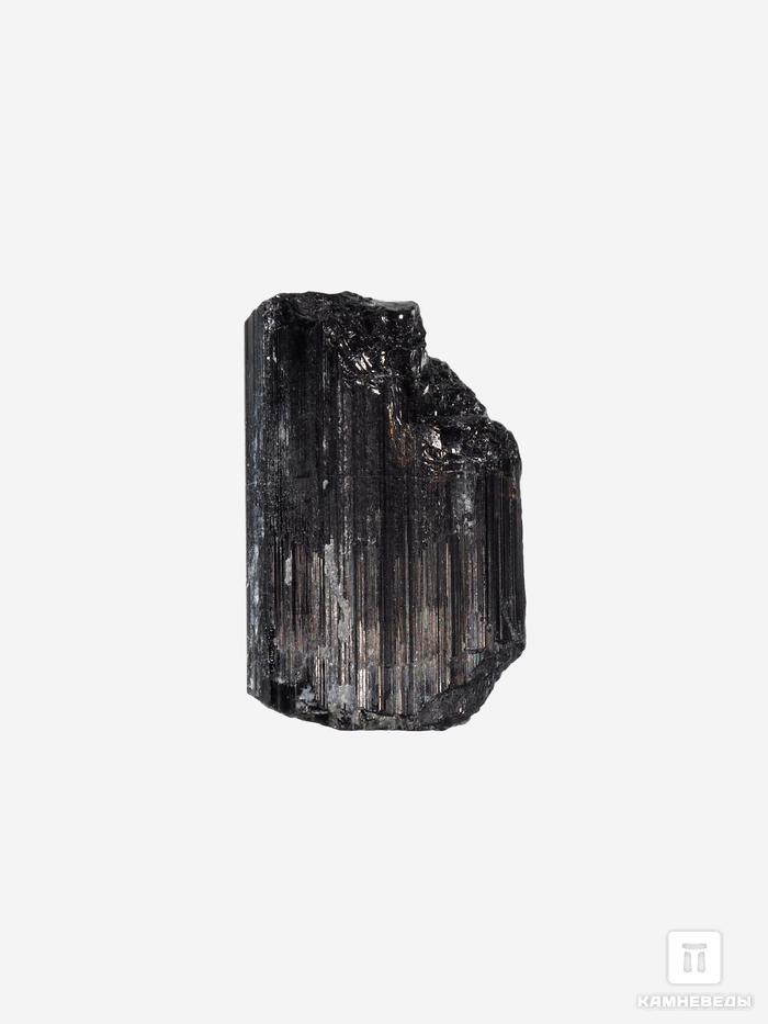 Шерл (чёрный турмалин), кристалл 1,5-2 см (2-3 г), 27760, фото 3