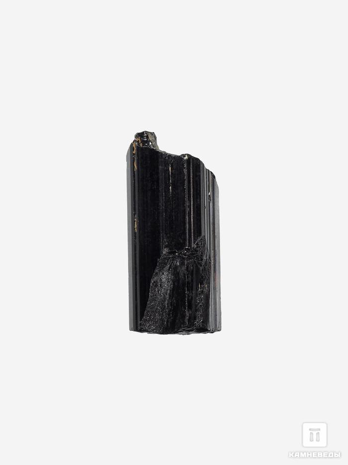 Шерл (чёрный турмалин), кристалл 1,5-2 см (2-3 г), 27760, фото 1