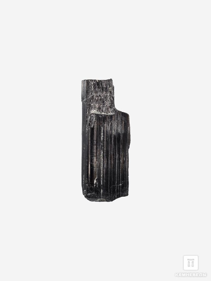 Шерл (чёрный турмалин), кристалл 2-2,5 см (2-3 г), 27759, фото 1