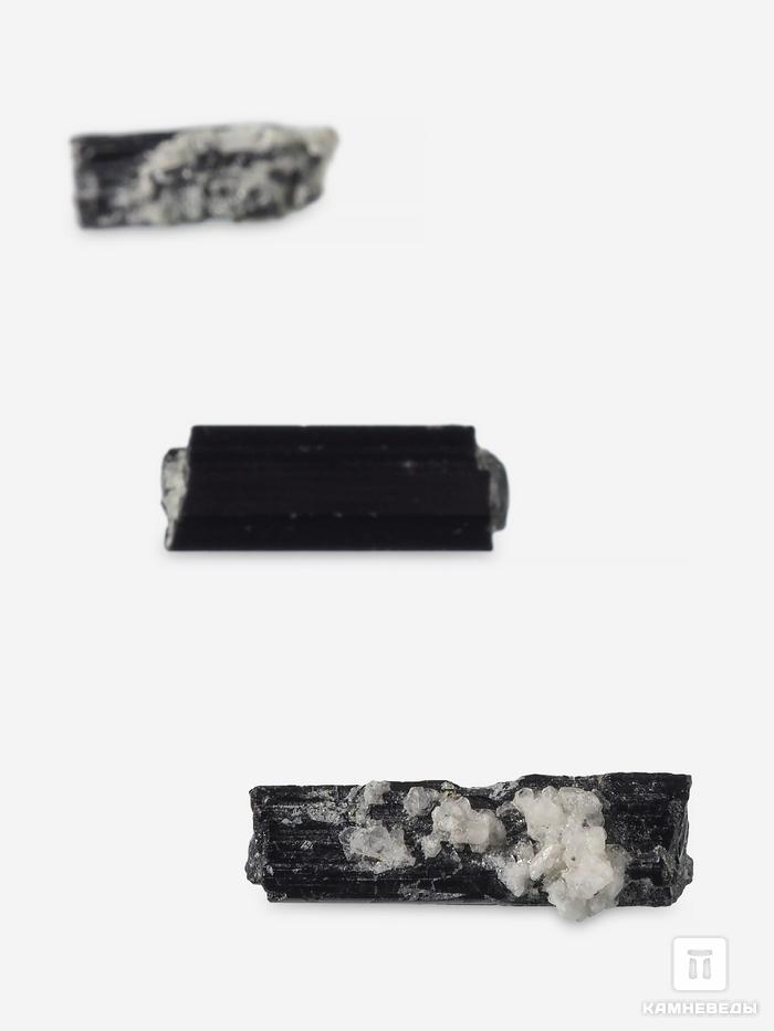 Шерл (чёрный турмалин), кристалл 2-2,5 см (1-2 г), 27773, фото 2