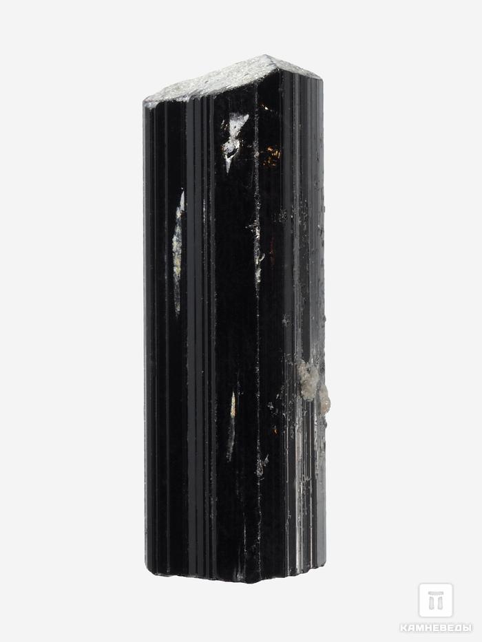 Шерл (чёрный турмалин), кристалл 2,5-3 см (5-6 г), 27682, фото 1