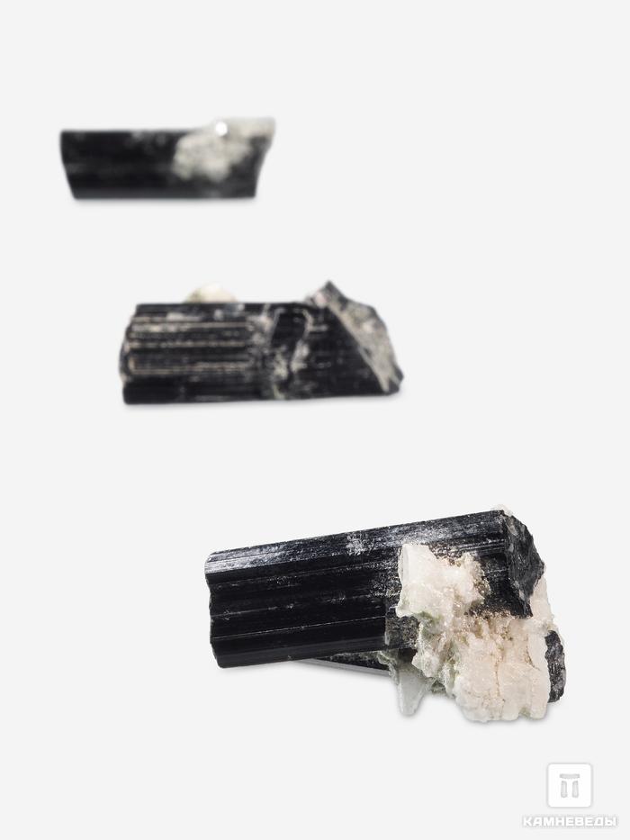 Шерл (чёрный турмалин), кристалл 2,5-3 см (5-6 г), 27680, фото 2