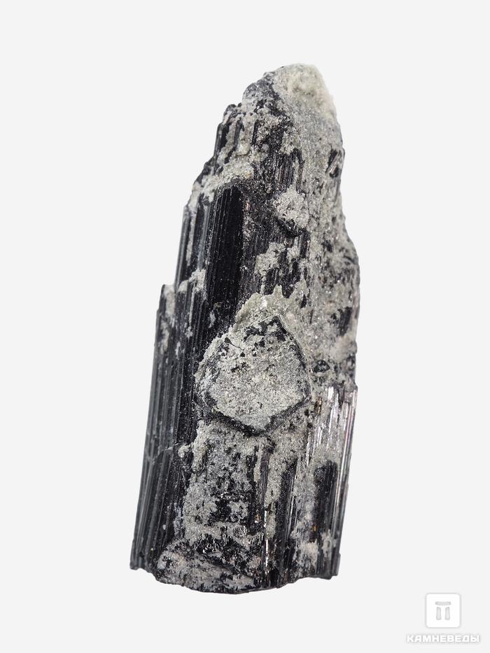 Шерл (чёрный турмалин), кристалл 2,5-3 см (5-6 г), 27680, фото 3