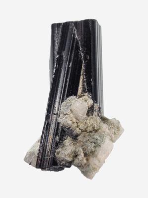 Шерл (чёрный турмалин), кристалл 2,5-3 см (5-6 г)