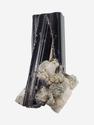 Шерл (чёрный турмалин), кристалл 2,5-3 см (5-6 г), 27680, фото 1