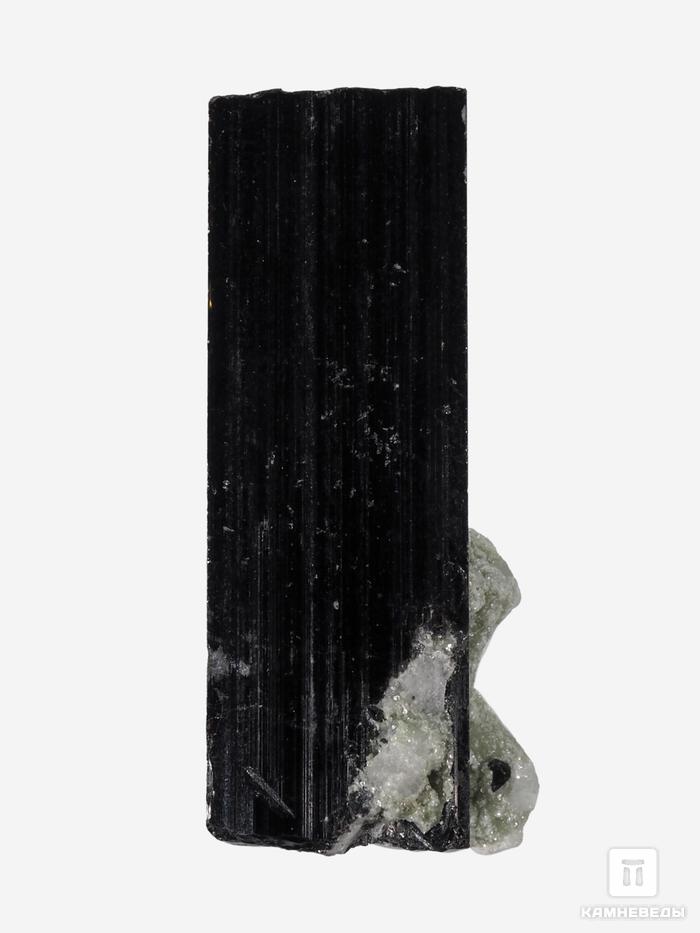 Шерл (чёрный турмалин), кристалл 2,9х1,4х1 см, 27677, фото 1