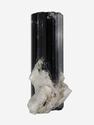 Шерл (чёрный турмалин), кристалл 2,9х1,4х1 см, 27677, фото 2
