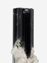 Шерл (чёрный турмалин), кристалл 2,9х1,4х1 см, 27677, фото 3