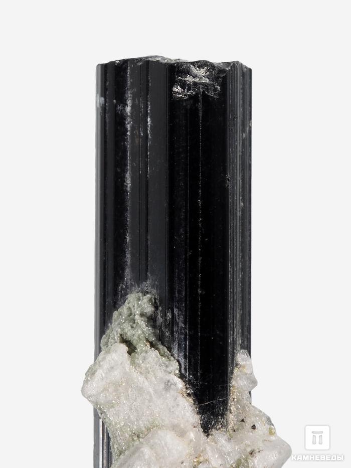 Шерл (чёрный турмалин), кристалл 2,9х1,4х1 см, 27677, фото 3