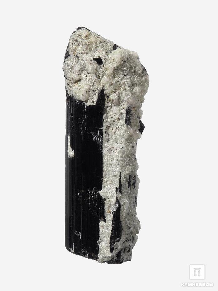 Шерл (чёрный турмалин), кристалл 3,7х1,4х1 см, 27675, фото 2