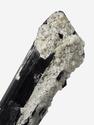 Шерл (чёрный турмалин), кристалл 3,7х1,4х1 см, 27675, фото 3