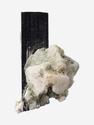 Шерл (чёрный турмалин), кристалл 3,1х1,7х1 см, 27665, фото 2
