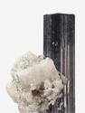 Шерл (чёрный турмалин), кристалл 3,1х1,7х1 см, 27665, фото 3