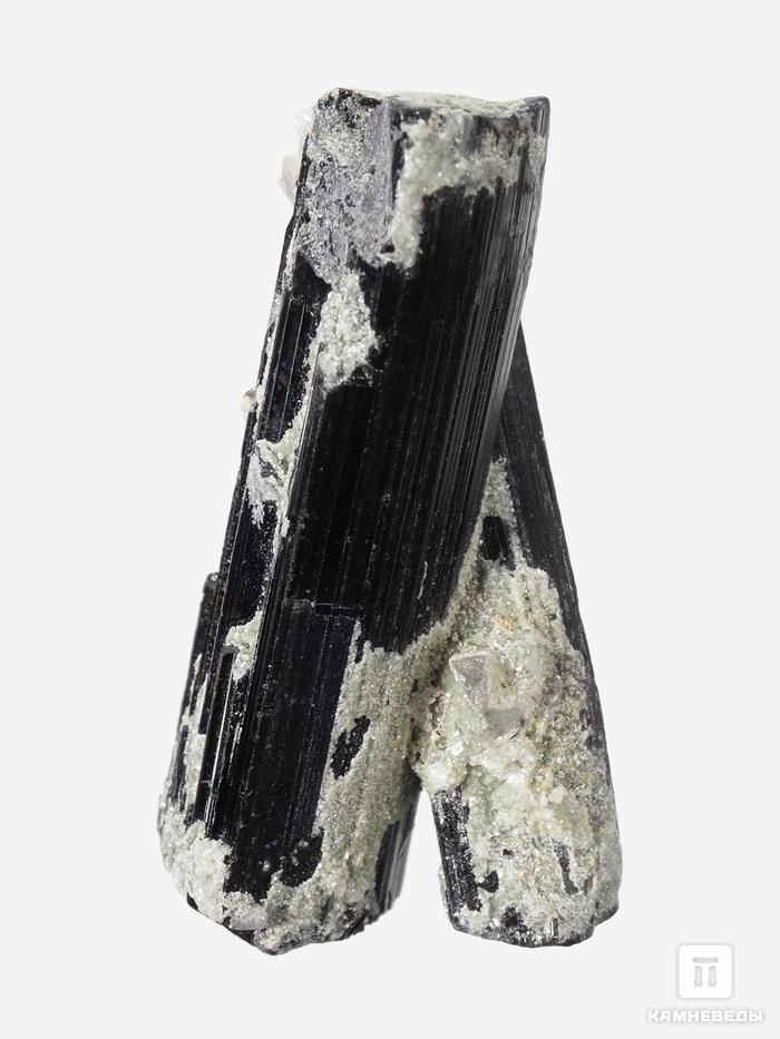 Шерл (чёрный турмалин), сросток кристаллов 3х1,6х1,4 см, 27659, фото 2