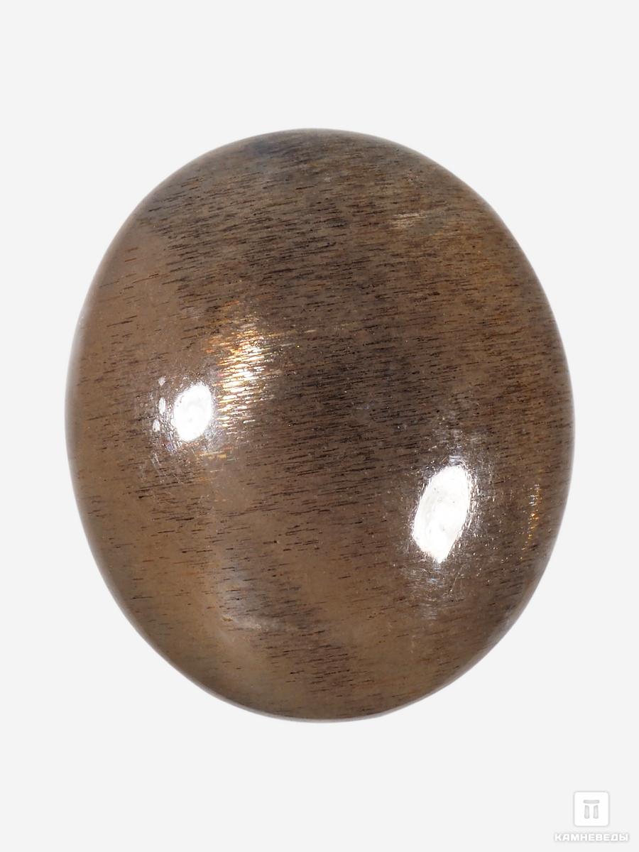 Солнечный камень с астеризмом, кабошон 1-1,5 см (1,5-2,5 г) лисичка тыковка или лунный камень выпуск 7