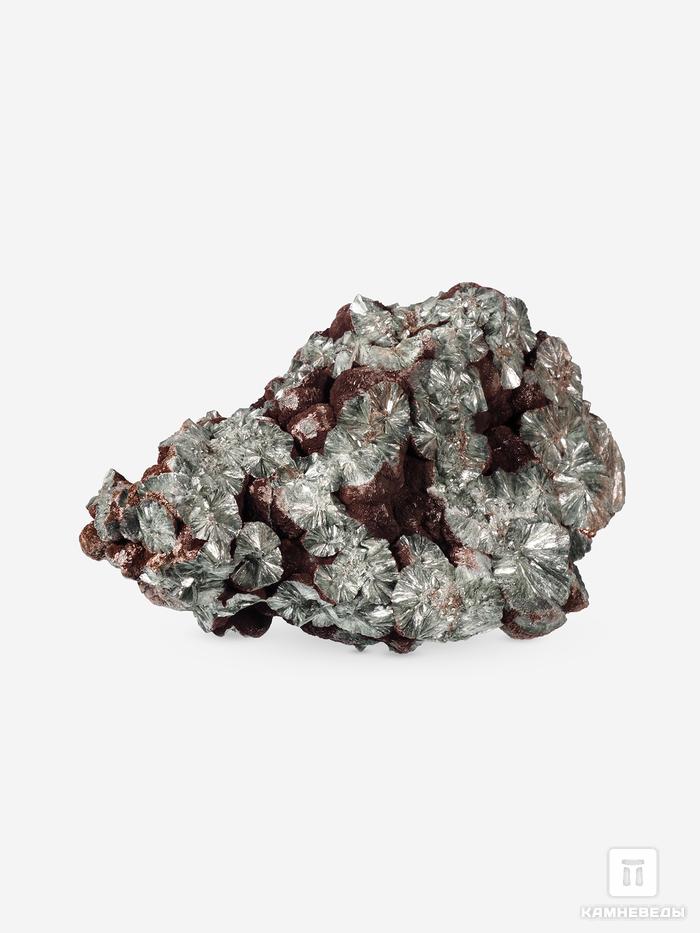 Клинохлор (серафинит), 14,7х8,5х5,8 см, 28548, фото 1