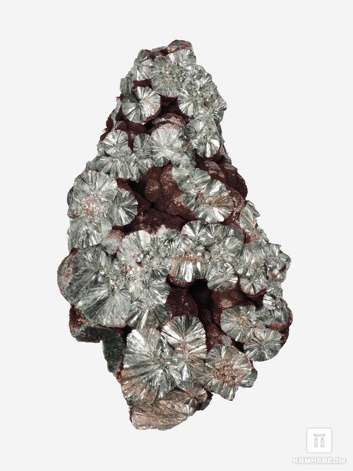Клинохлор (серафинит), 14,7х8,5х5,8 см, 28548, фото 2