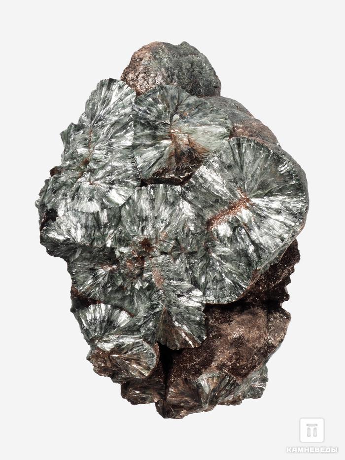 Клинохлор (серафинит), 9,6х6,7х4,4 см, 28544, фото 2