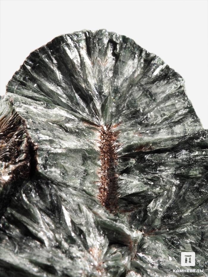Клинохлор (серафинит), 9,6х6,7х4,4 см, 28544, фото 3