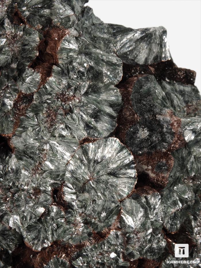 Клинохлор (серафинит), 12,8х10,5х5,9 см, 28547, фото 2
