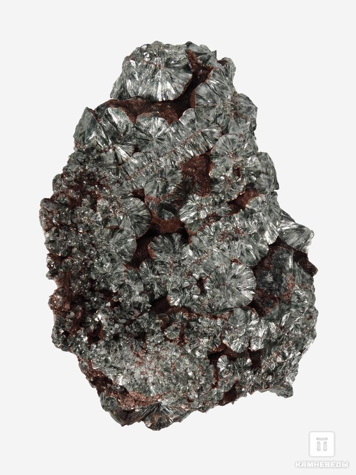 Клинохлор (серафинит), 12,8х10,5х5,9 см, 28547, фото 1