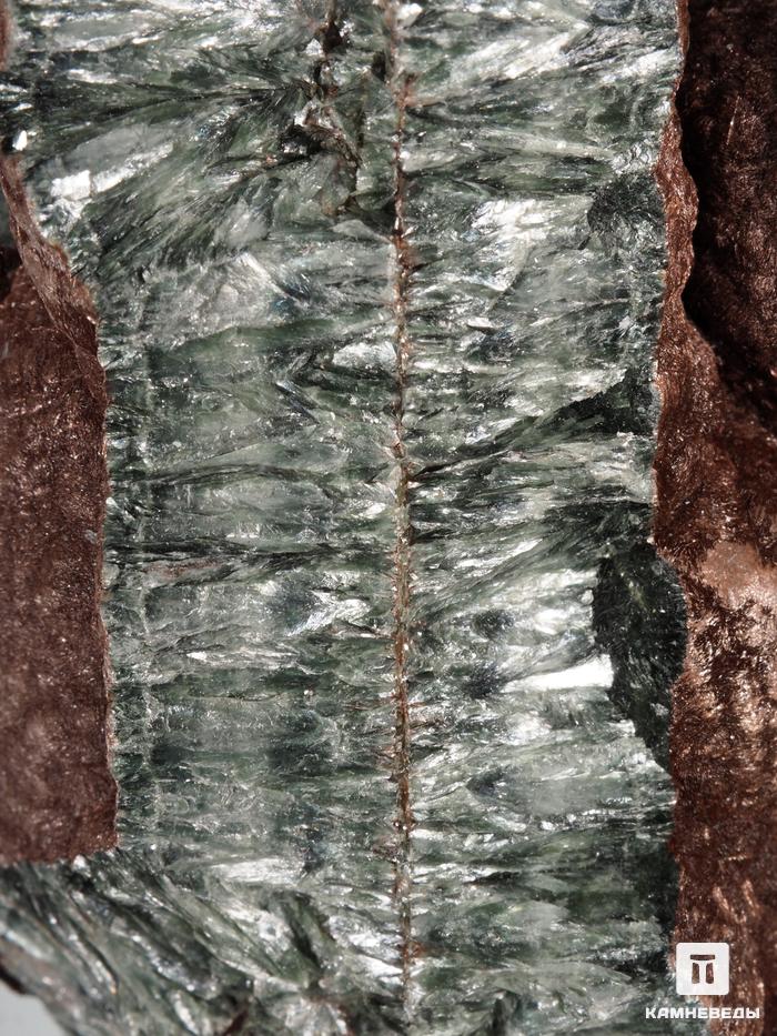 Клинохлор (серафинит), 12,8х10,5х5,9 см, 28547, фото 4