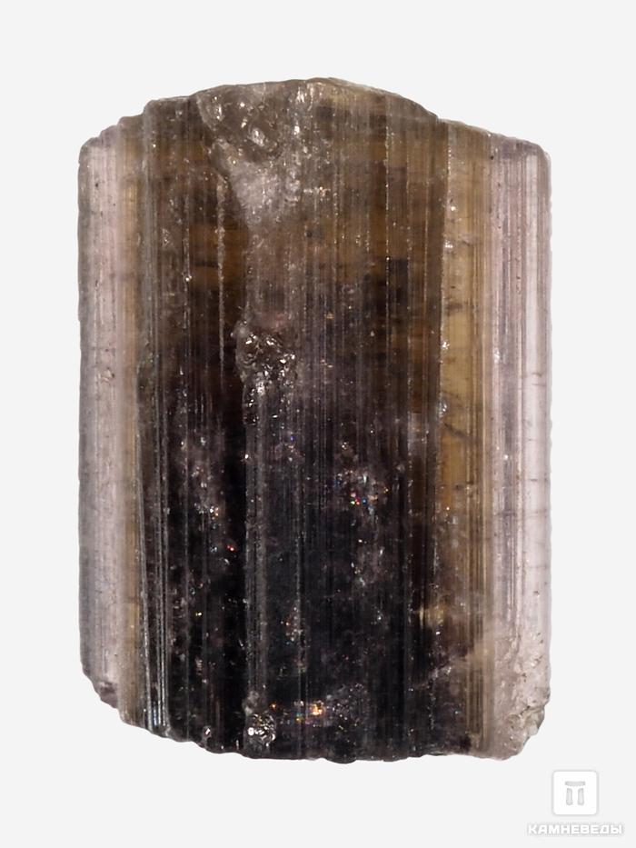 Турмалин полихромный, кристалл 1,7х1,2х1 см, 28494, фото 2