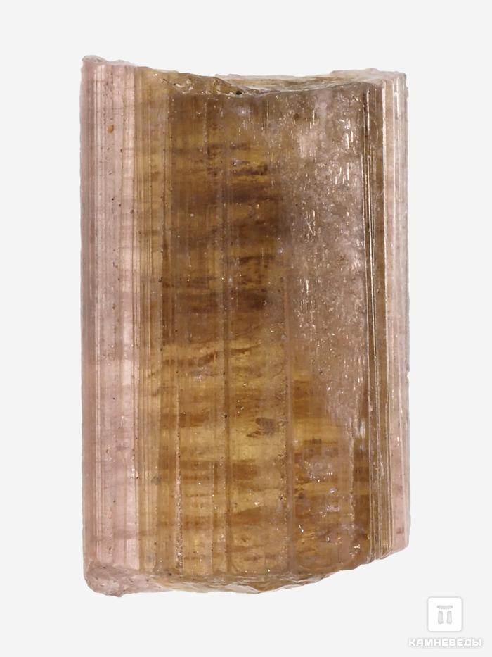 Турмалин полихромный, кристалл 2х1,2х1 см, 28499, фото 1