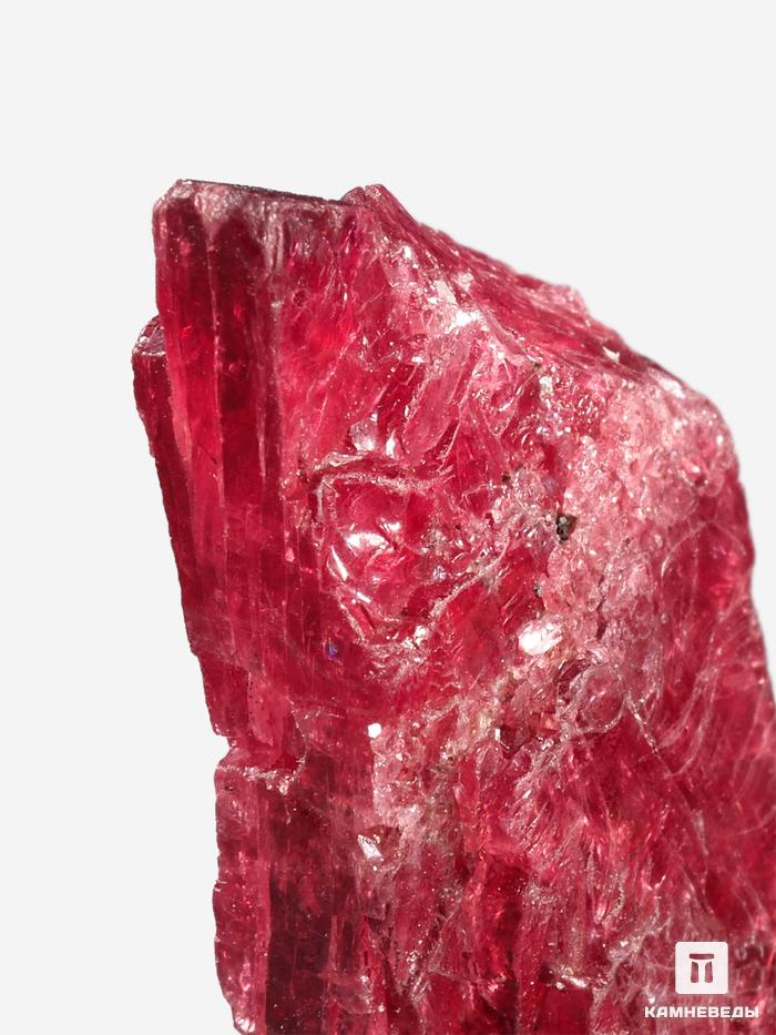 Шпинель красная, кристалл 1,5-2 см (4-5 г), 28458, фото 5