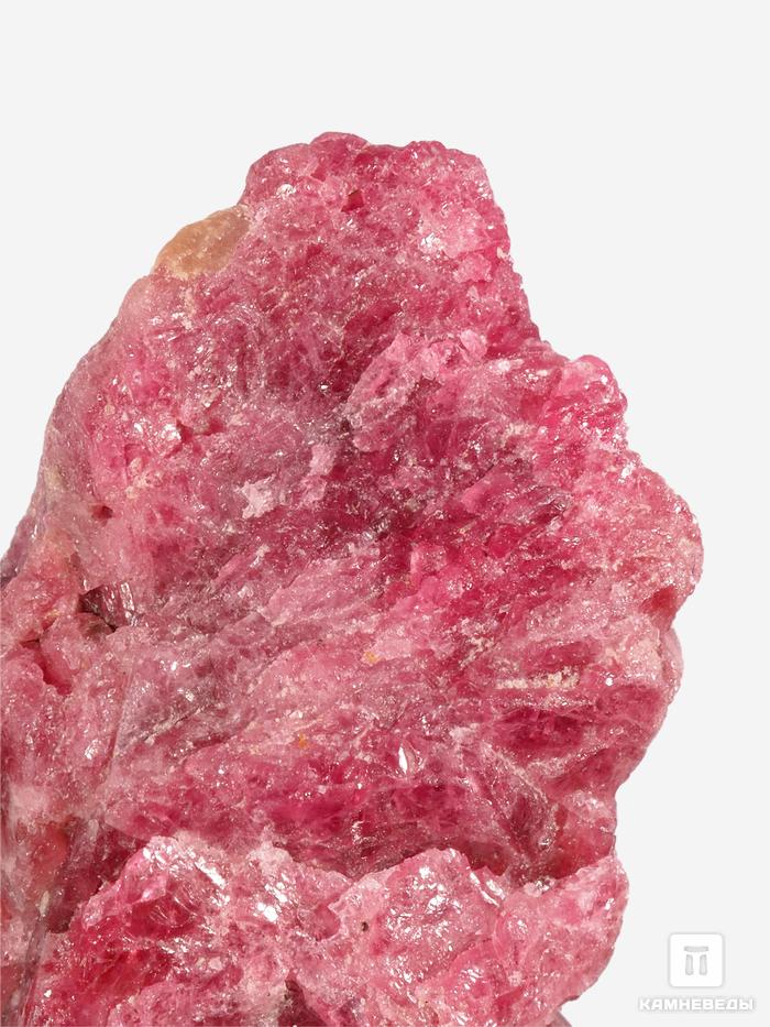 Шпинель красная, кристалл 3-3,5 см (15-16 г), 28464, фото 4
