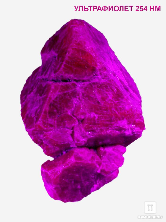 Шпинель красная, кристалл 3-4 см (18-20 г), 28465, фото 2