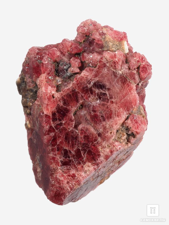 Шпинель красная, кристалл 3,5х2,6х1,3 см, 28466, фото 4