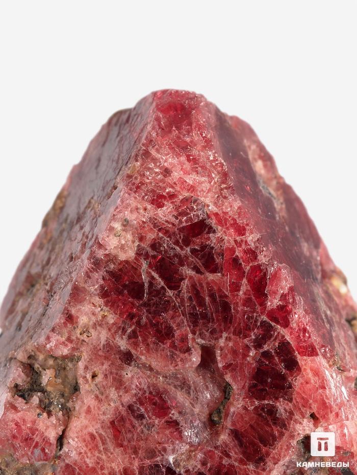 Шпинель красная, кристалл 3,5х2,6х1,3 см, 28466, фото 5