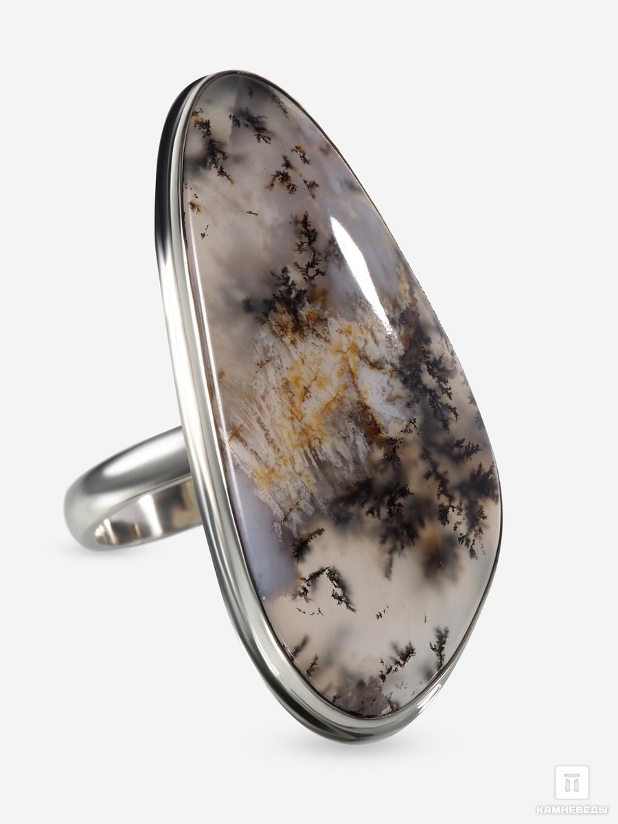 Кольцо с дендритовым агатом карта раскраска золотое кольцо