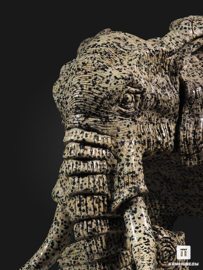 Слон из далматиновой яшмы (трахириодацита), 32х25х22,5 см, 19884, фото 2
