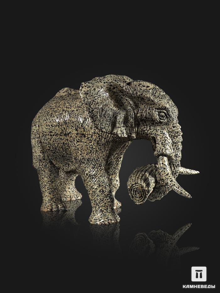 Слон из далматиновой яшмы (трахириодацита), 32х25х22,5 см, 19884, фото 3