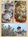 Геологическая экспедиция в г. Старица (на собственном транспорте), 10-11 августа 2024 г., 29010, фото 1