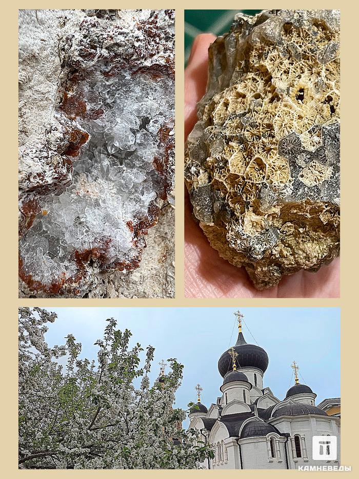 Геологическая экспедиция в г. Старица (на автобусе), 10-11 августа 2024 г., 29011, фото 1