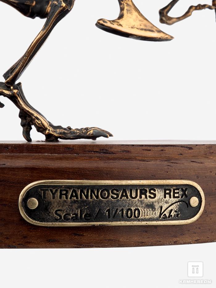 Модель скелета динозавра TYRANNOSAURUS, 4245, фото 6