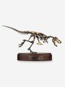 Модель скелета динозавра TYRANNOSAURUS, 4245, фото 8