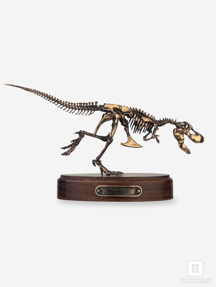 Модель скелета динозавра TYRANNOSAURUS, 4245, фото 8