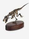 Модель скелета динозавра TYRANNOSAURUS, 4245, фото 3