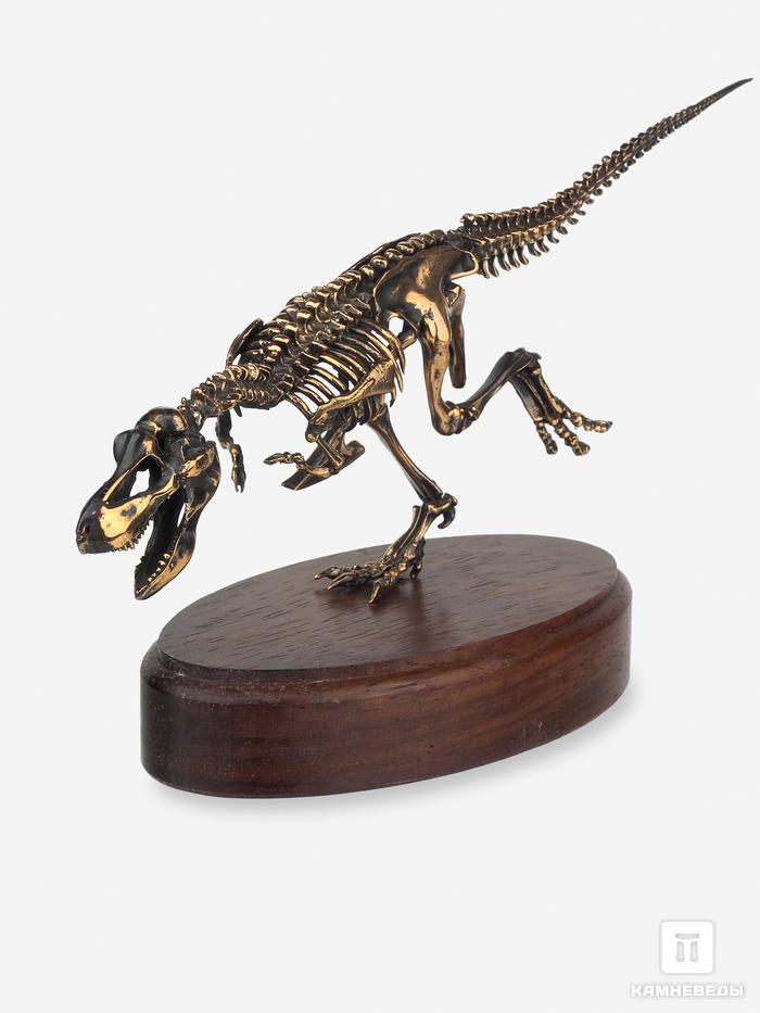 Модель скелета динозавра TYRANNOSAURUS, 4245, фото 3