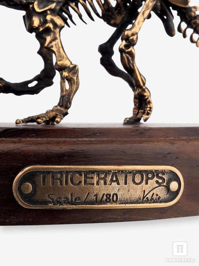 Модель скелета динозавра TRICERATOPS, 5232, фото 6