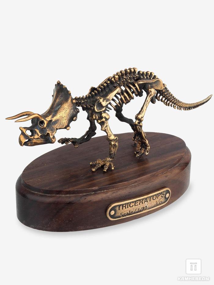 Модель скелета динозавра TRICERATOPS, 5232, фото 4