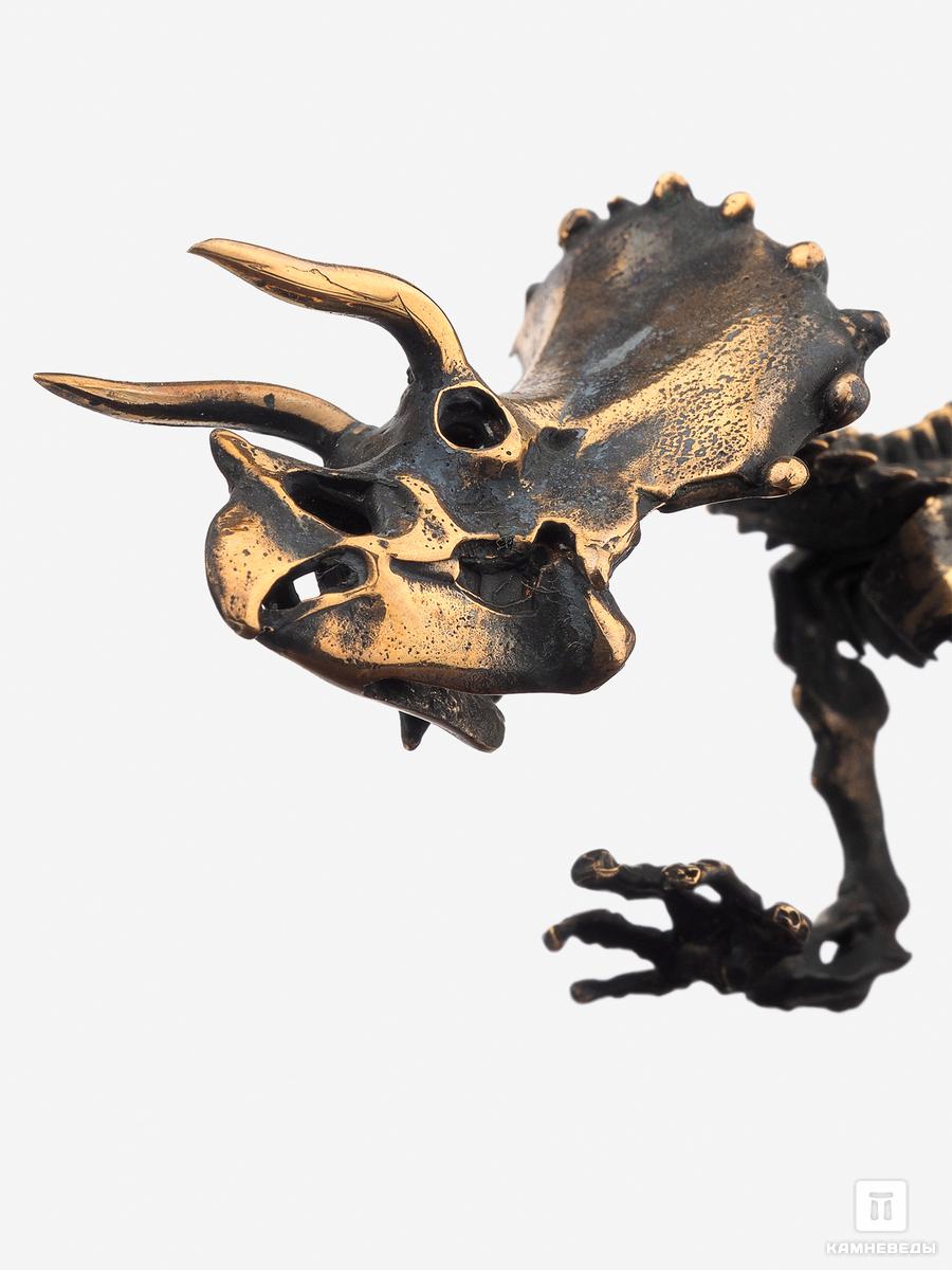 Модель скелета динозавра TRICERATOPS