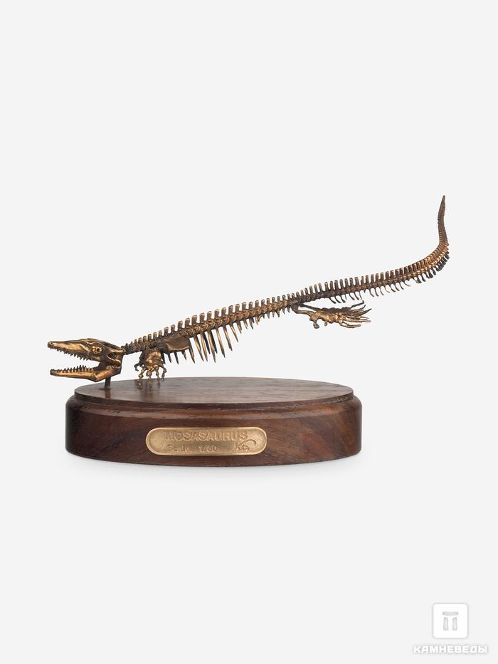Модель скелета мозазавра MOSASAURUS, 5230, фото 4