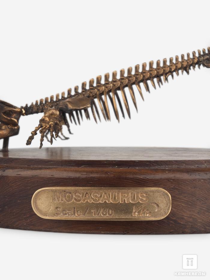 Модель скелета мозазавра MOSASAURUS, 5230, фото 7