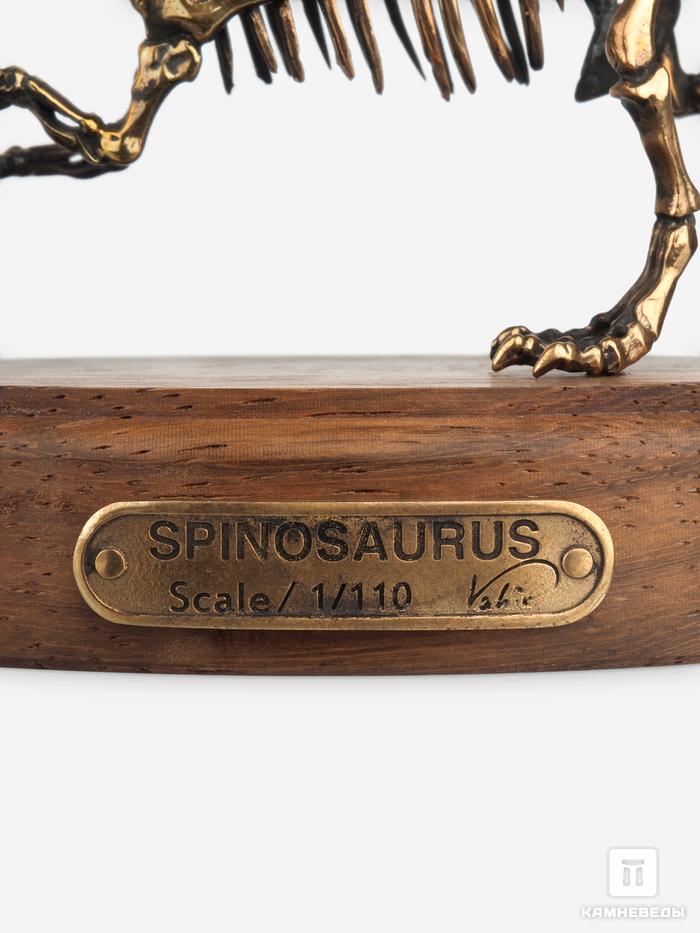 Модель скелета динозавра SPINOSAURUS, 4254, фото 5