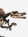 Модель скелета динозавра SPINOSAURUS, 4254, фото 2